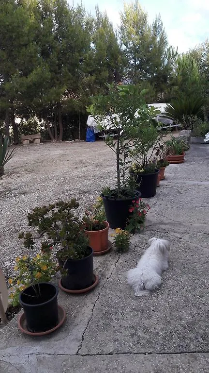 B&B Baglio Ferlito Buseto Palizzolo Bed & Breakfast